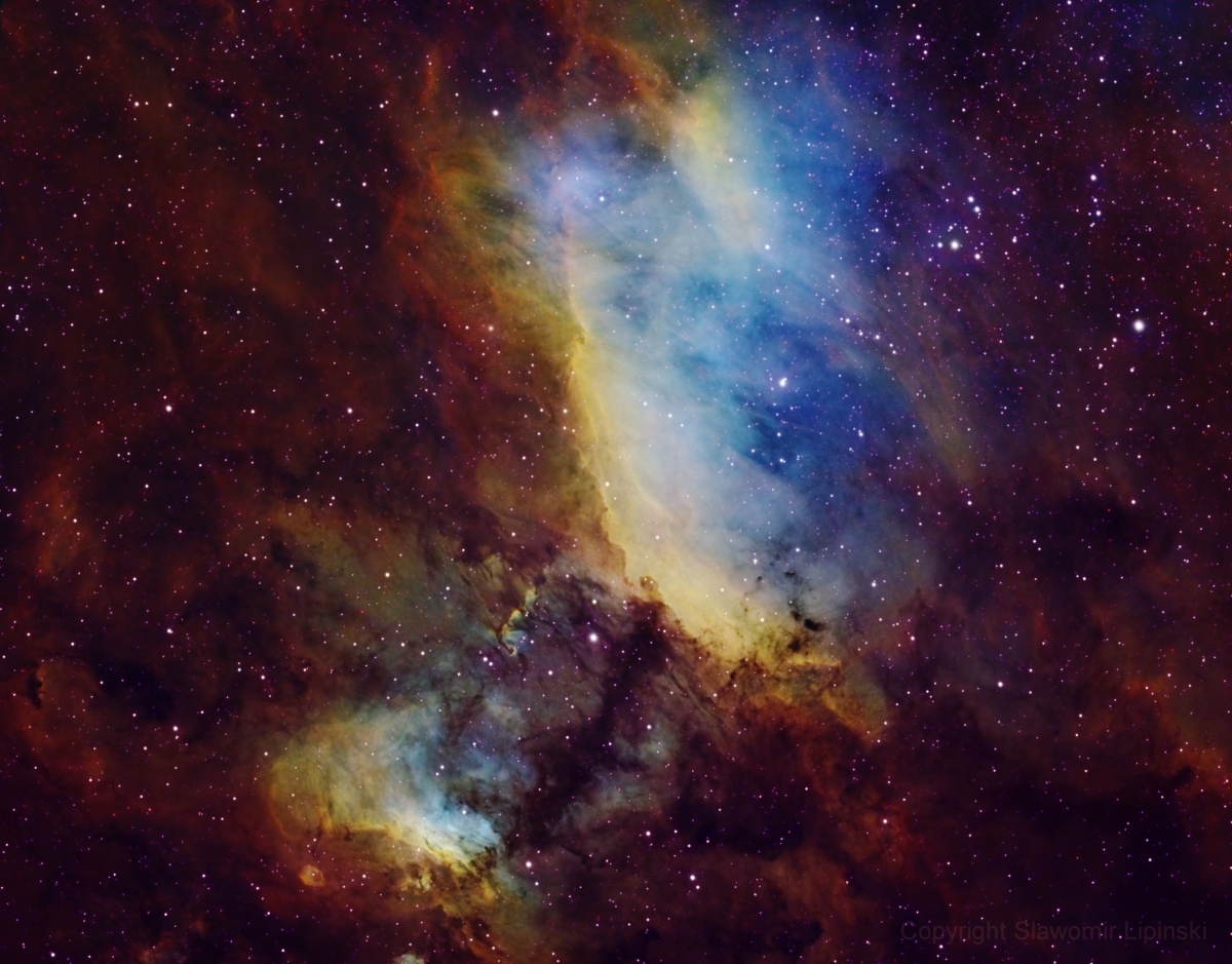 Prawn Nebula