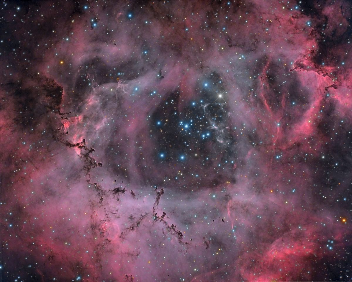 Caldwell-49/Rosette Nebula (RC 250)