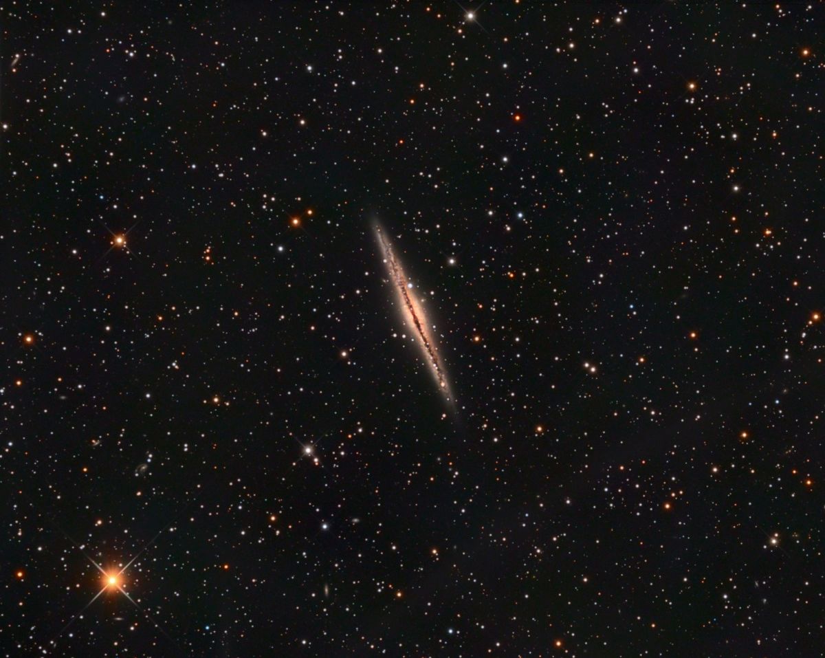 NGC 891 (RC 250)
