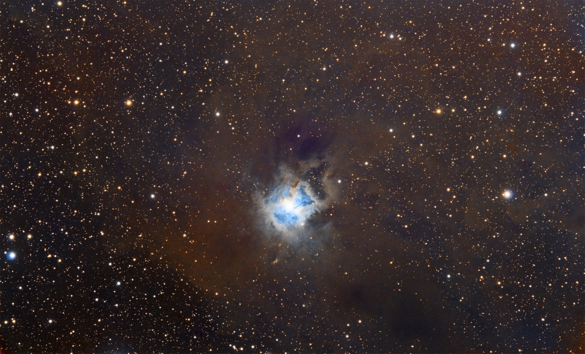 NGC-7023/Iris Nebula